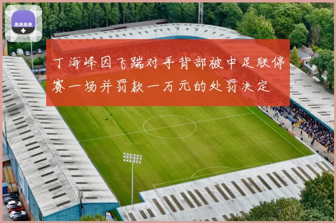 丁海峰因飞踹对手背部被中足联停赛一场并罚款一万元的处罚决定
